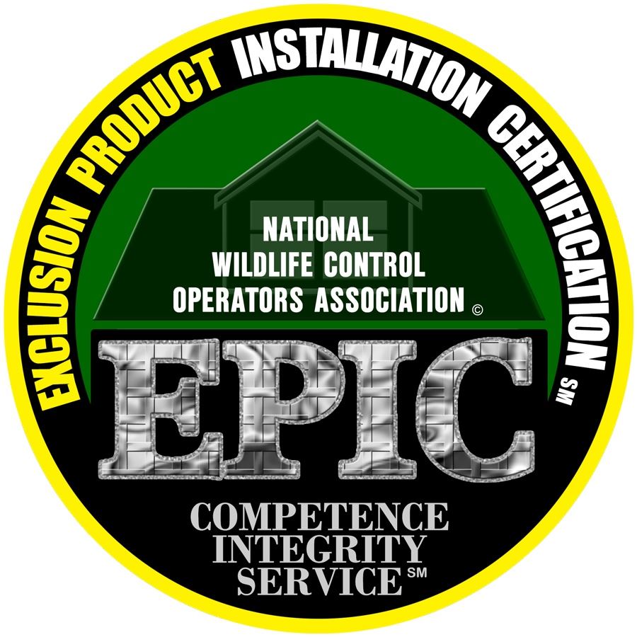 epic-badge.2311080951550