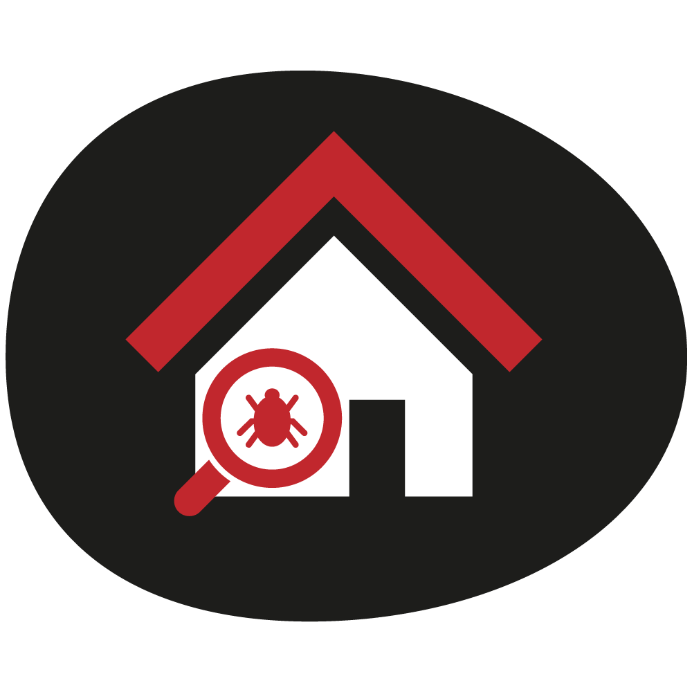Home icon with a magnifying glass