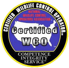 wco.2211291537550